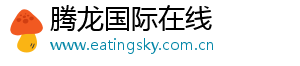 腾龙国际在线